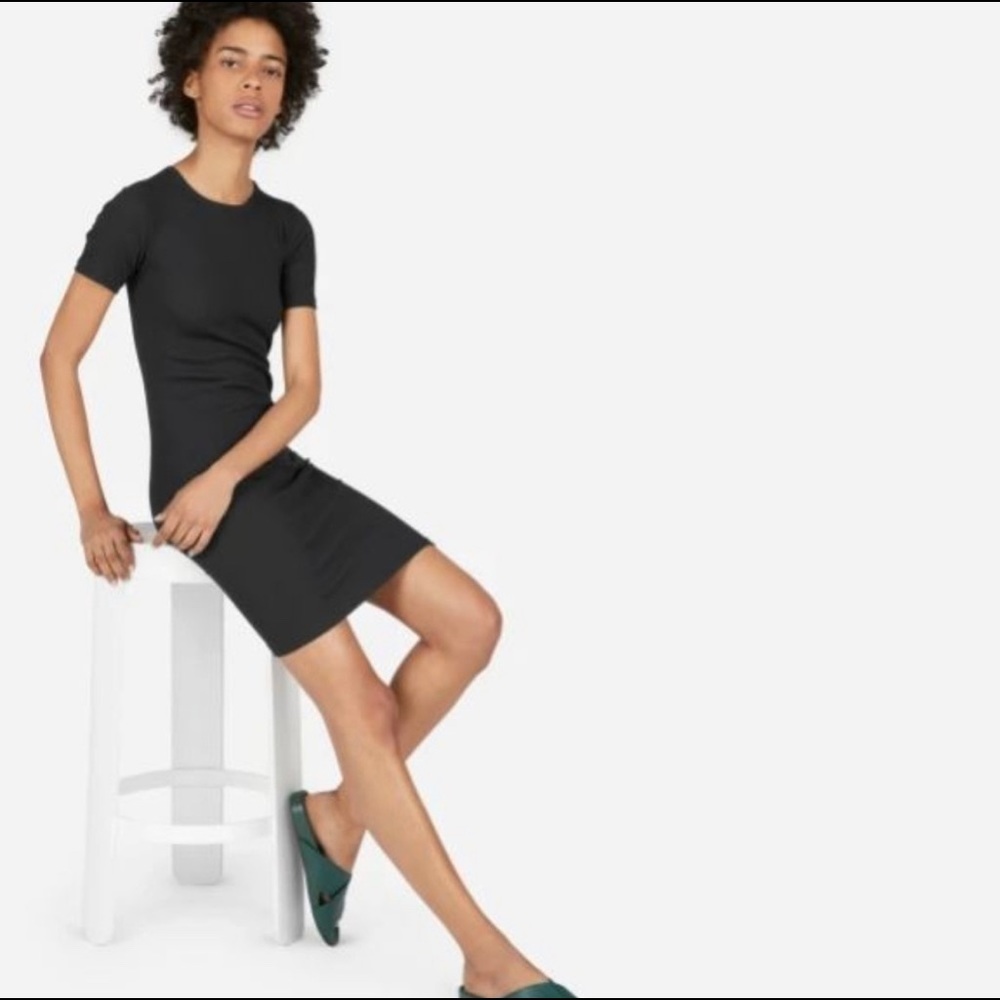 Everlane Pima Micro rib dress